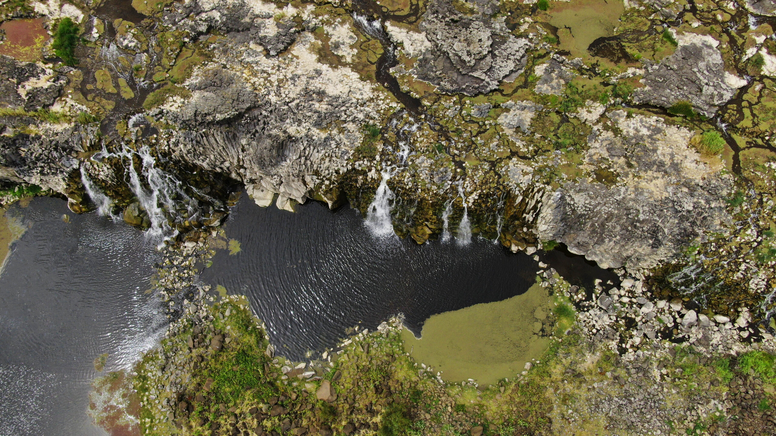 Featured image for “Webinar summary: Bold Action for Investing in Racial Equity ”